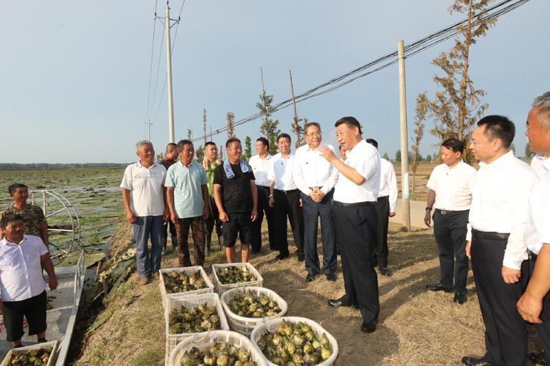 8月18日至21日，中共中央总书记、国家主席、中央军委主席习近平在安徽省考察。这是18日下午，习近平在阜阳市阜南县蒙洼蓄洪区，同正在采摘芡实的乡亲们亲切交流，了解灾后生产恢复情况。